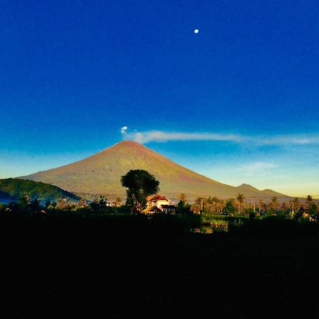 D'Uma Amed Homestay Exteriér fotografie