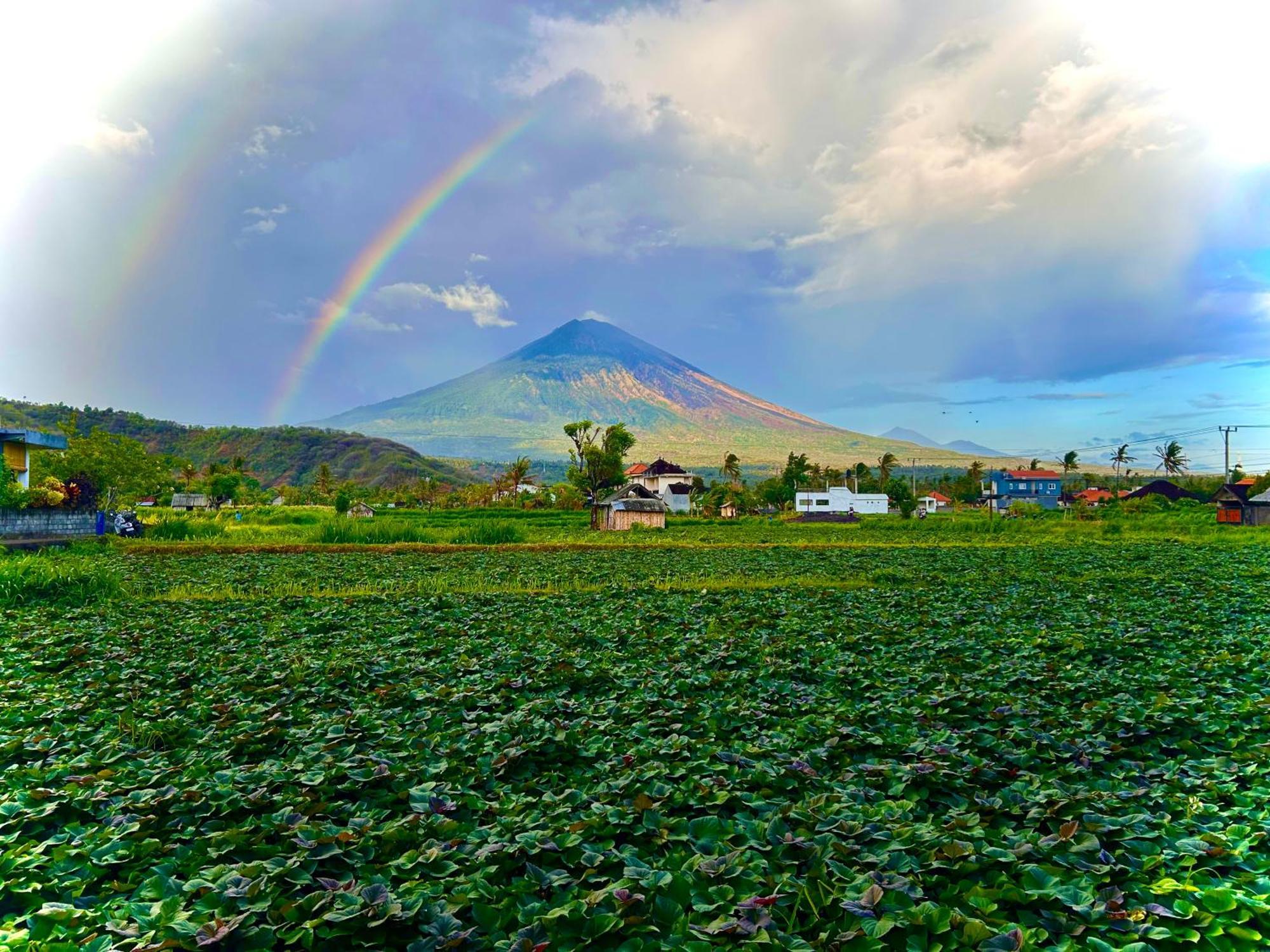 D'Uma Amed Homestay Exteriér fotografie