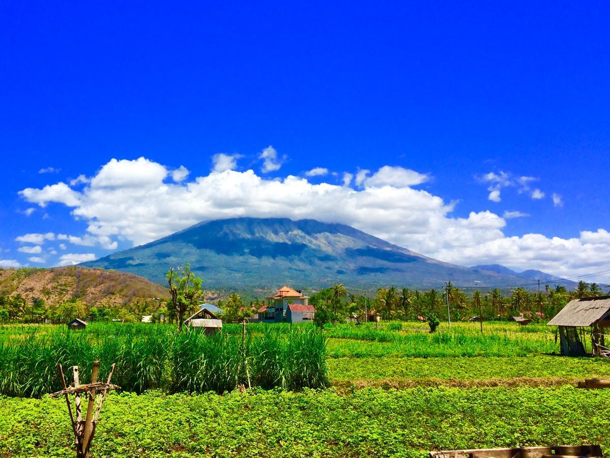 D'Uma Amed Homestay Exteriér fotografie