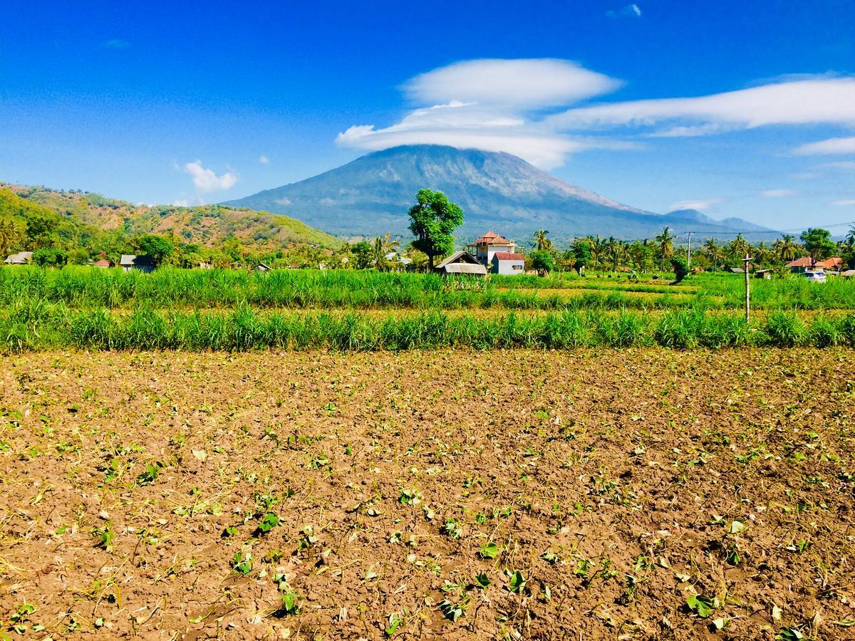 D'Uma Amed Homestay Exteriér fotografie