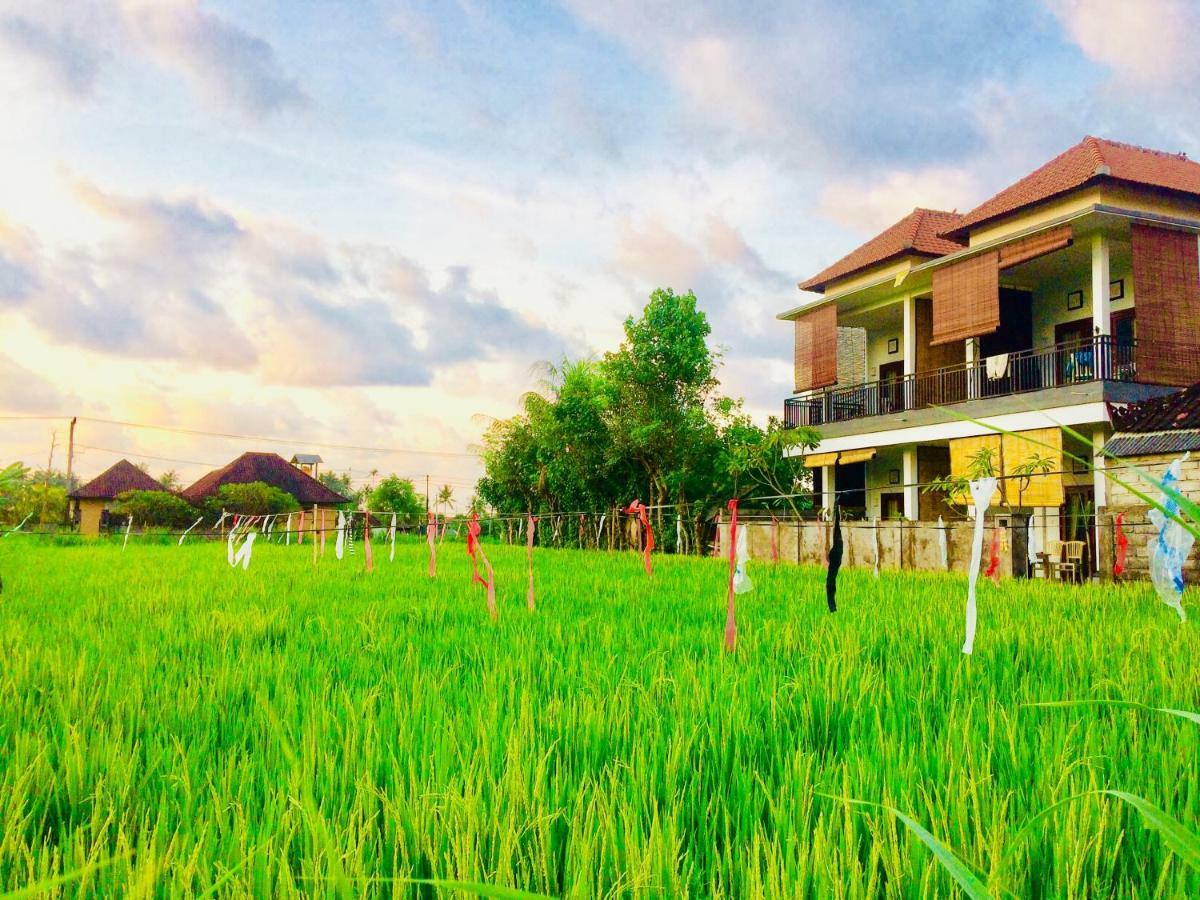 D'Uma Amed Homestay Exteriér fotografie