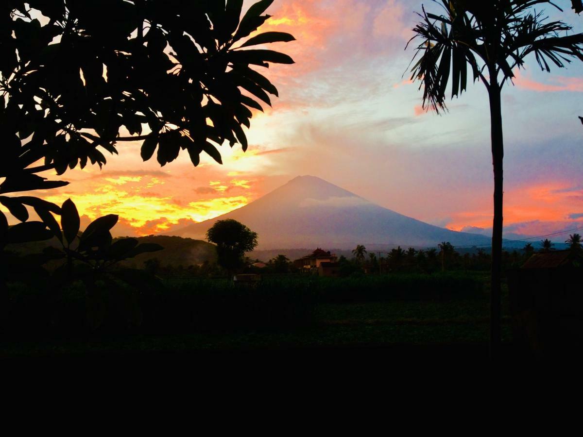 D'Uma Amed Homestay Exteriér fotografie