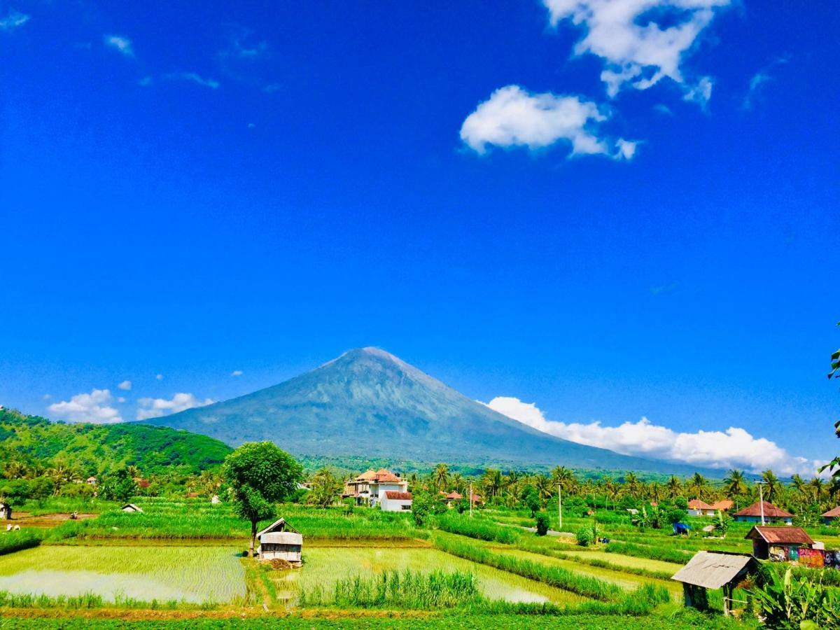 D'Uma Amed Homestay Exteriér fotografie