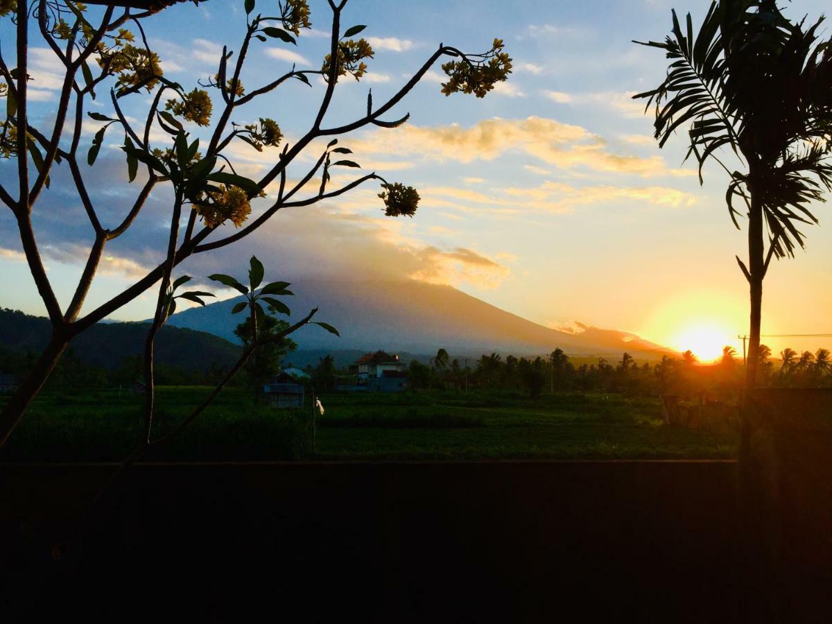 D'Uma Amed Homestay Exteriér fotografie