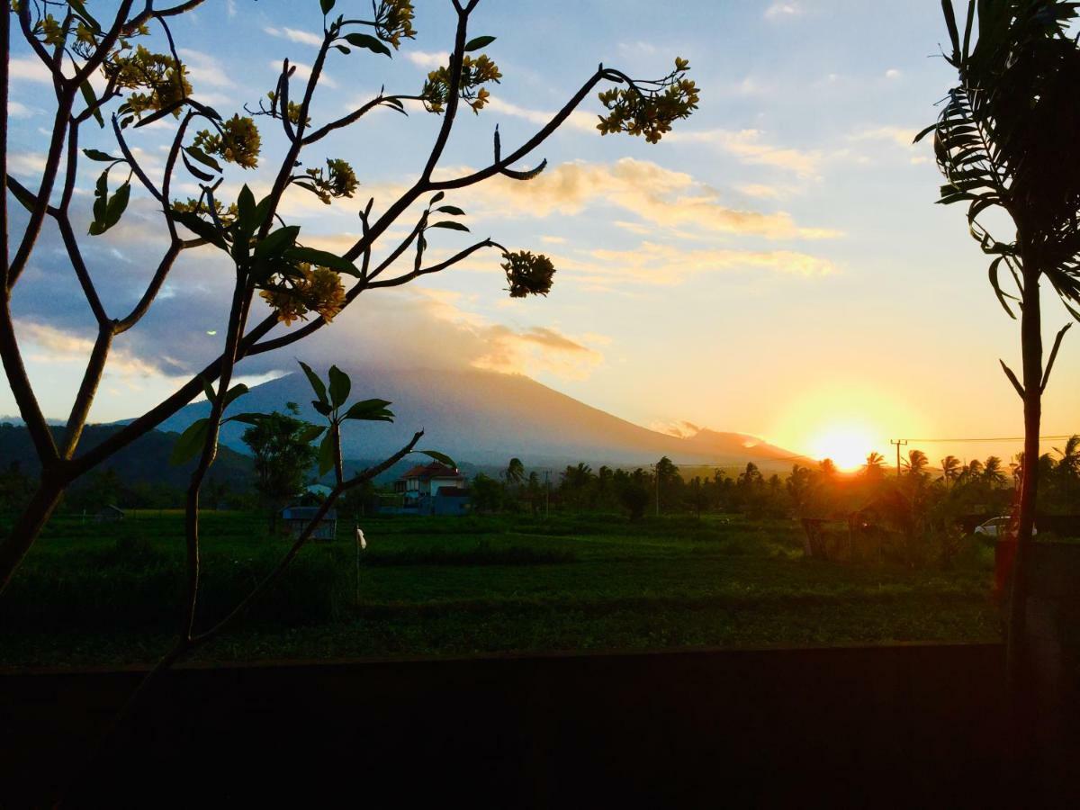 D'Uma Amed Homestay Exteriér fotografie